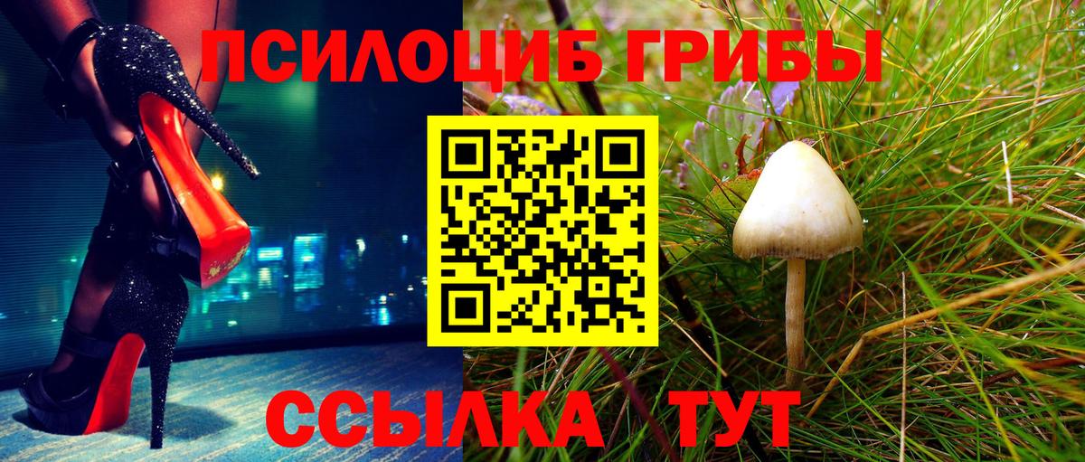 Галлюциногенные грибы GOLDEN TEACHER Бугульма